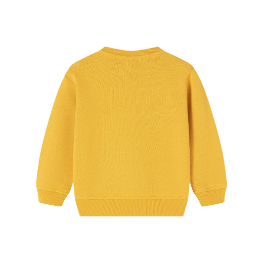 Picture of Hoodie