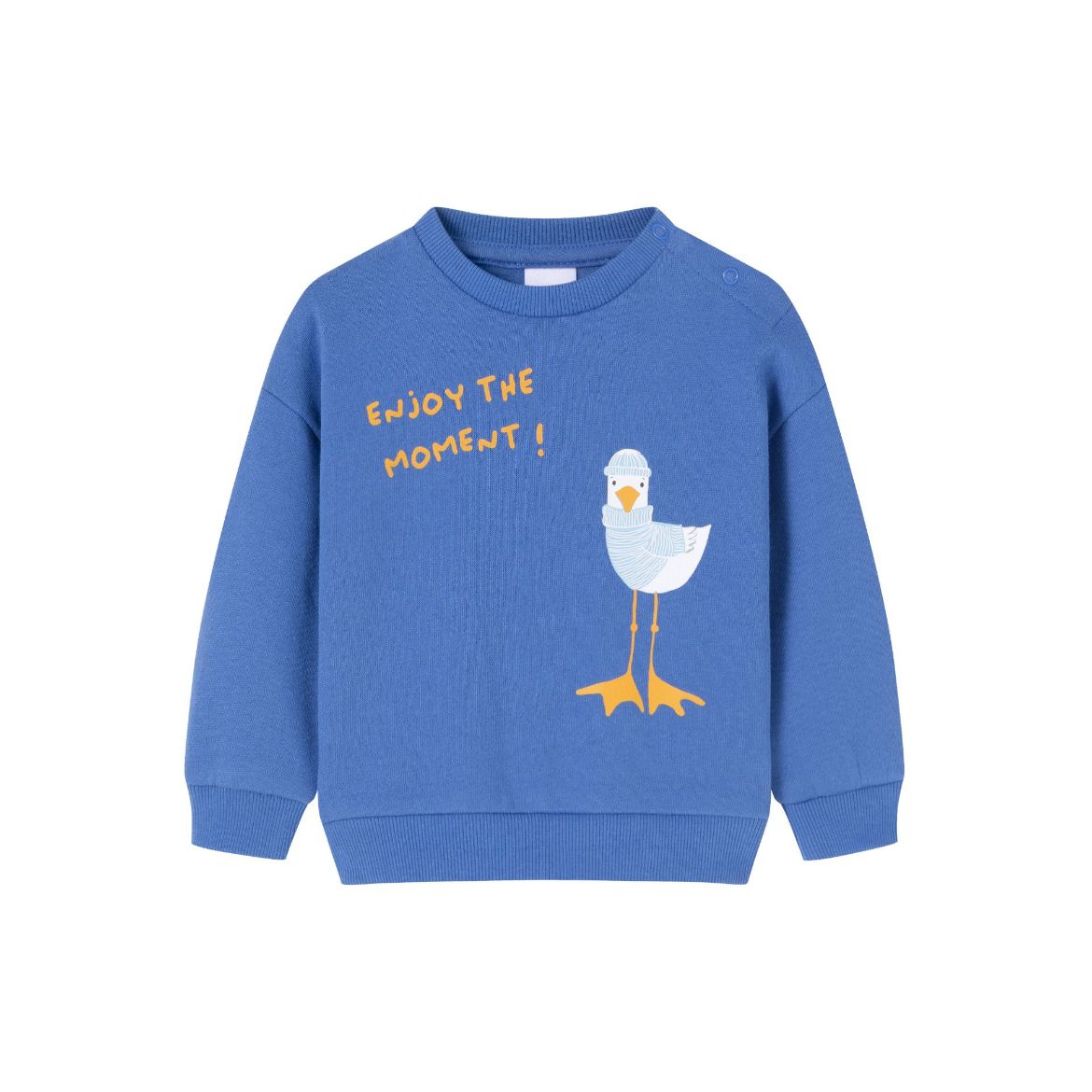 Picture of Sweatshirt