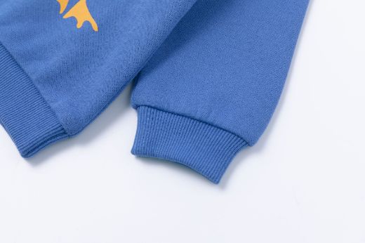 Picture of Sweatshirt