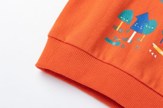 Picture of Sudadera