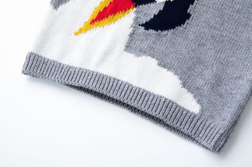 Picture of Sweater