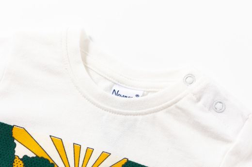 Picture of T-shirt