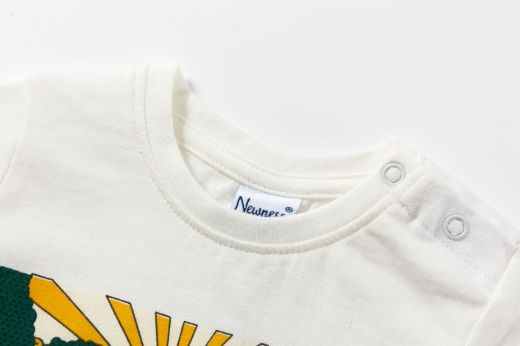 Picture of T-shirt
