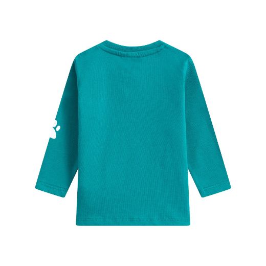 Picture of T-shirt