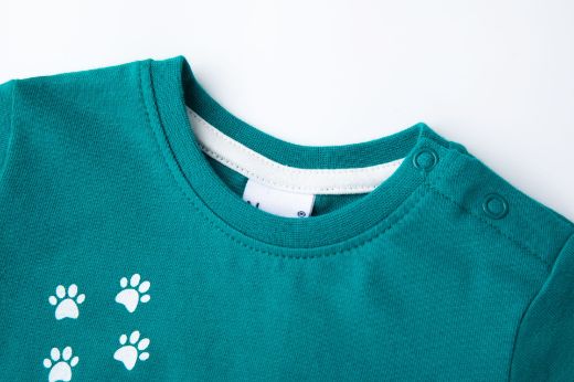 Picture of T-shirt