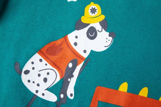 Picture of T-shirt