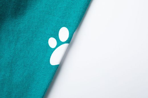 Picture of T-shirt