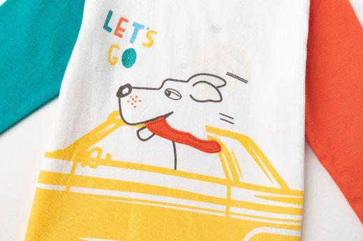 Picture of T-shirt