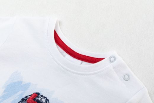 Picture of T-shirt