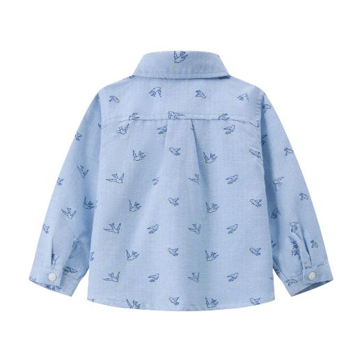 Picture of Shirt