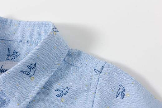 Picture of Shirt