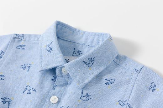 Picture of Shirt