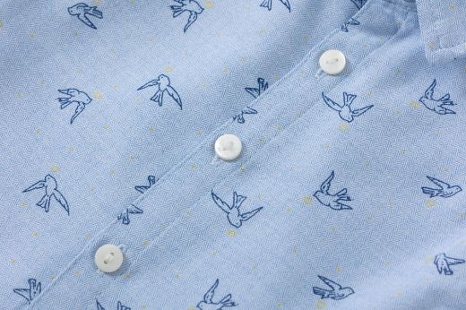 Picture of Shirt
