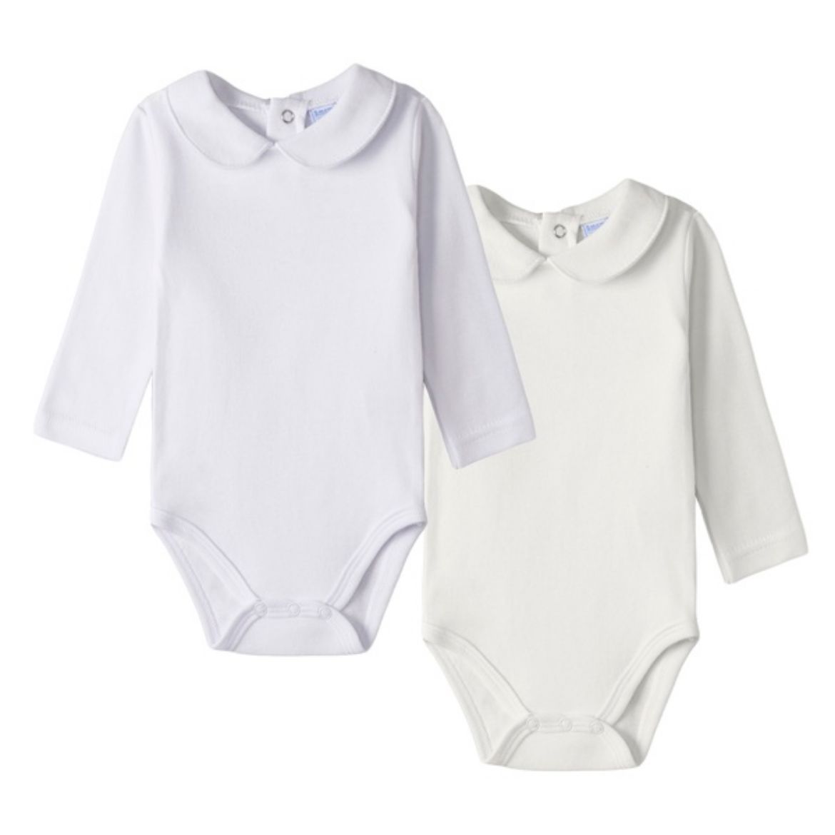 Picture of Bodies ( 1 a 24 Meses)