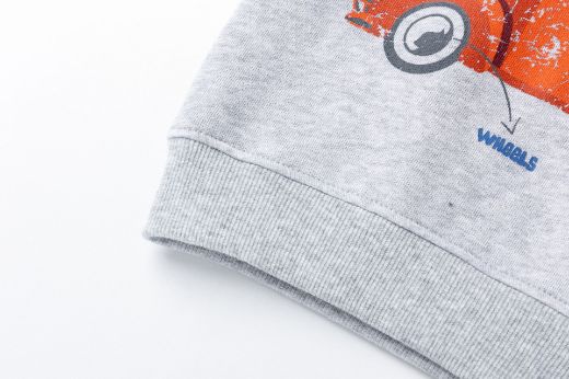 Picture of Sudadera
