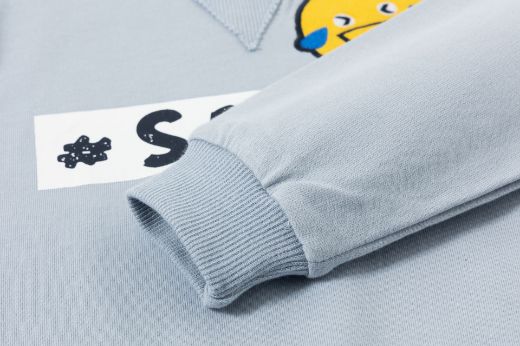 Picture of Sweatshirt