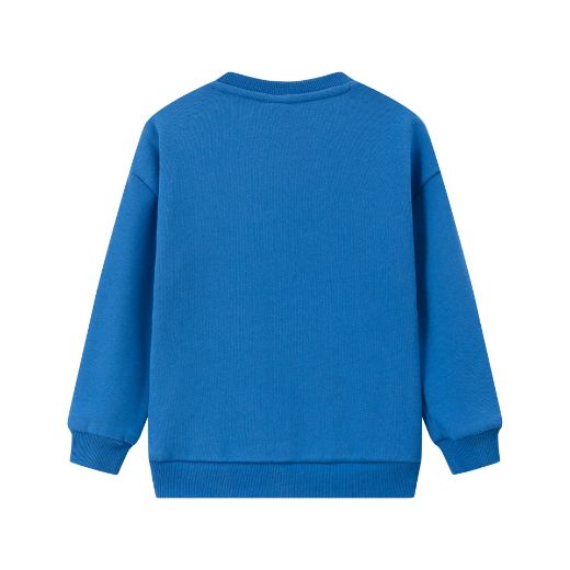 Picture of Sudadera