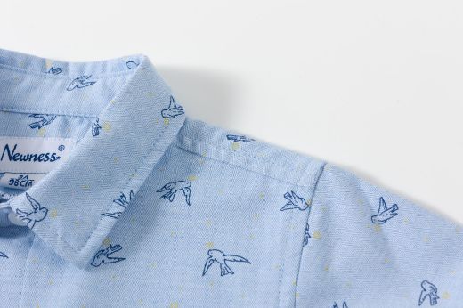 Picture of Shirt