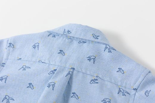 Picture of Camisa
