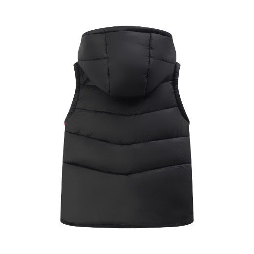 Picture of Vest