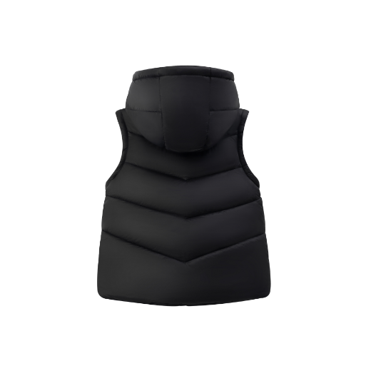 Picture of Vest