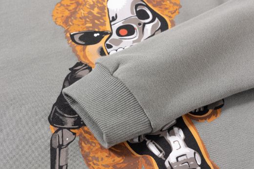 Picture of Sweatshirt