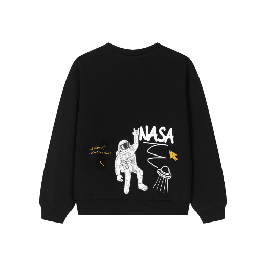 Picture of Sudadera perchada