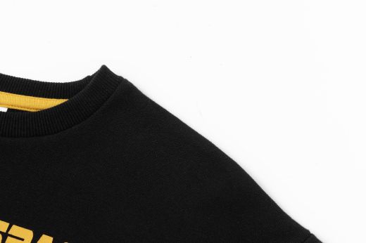 Picture of Sudadera perchada