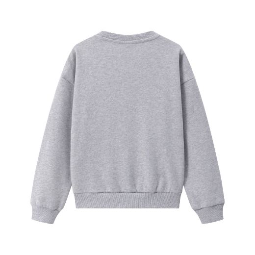 Picture of Sudadera perchada