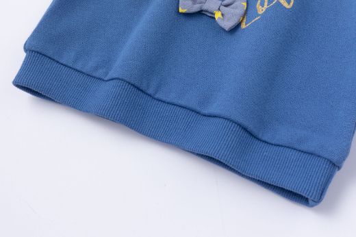 Picture of Sweatshirt