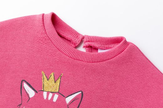 Picture of Sweatshirt