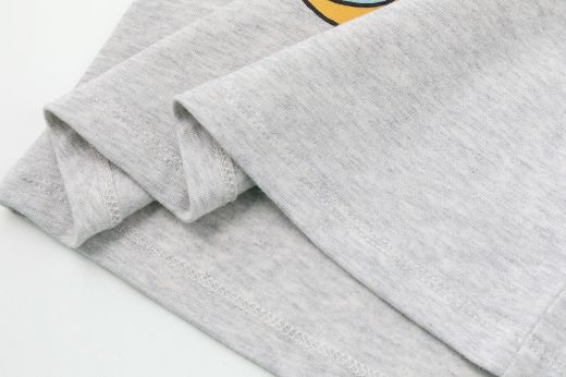 Picture of T-shirt
