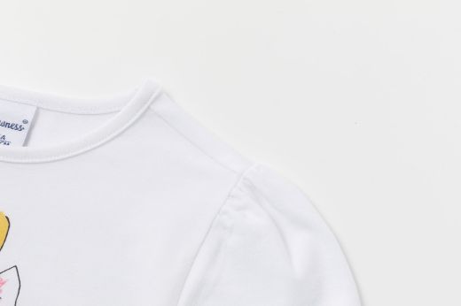Picture of T-shirt