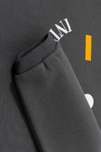 Picture of Sudadera