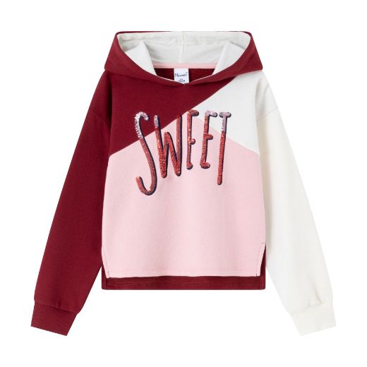 Picture of Sudadera