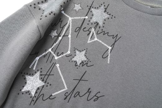 Picture of Sweatshirt