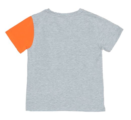 Picture of Camiseta 