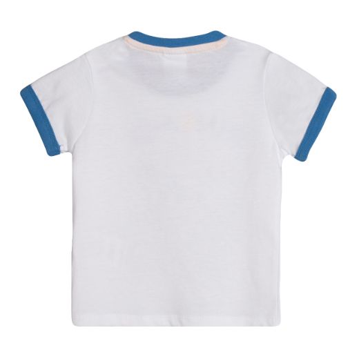 Picture of Camiseta
