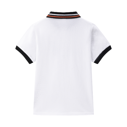Picture of Polo