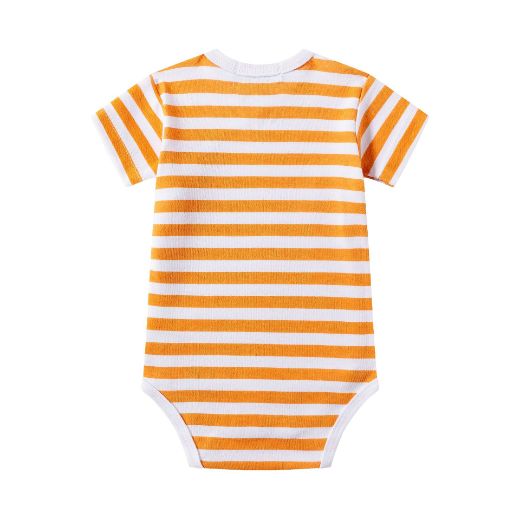 Picture of Bodies (0 a 3 Meses)