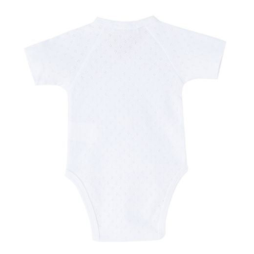 Picture of Bodies (0 a 3 Meses)