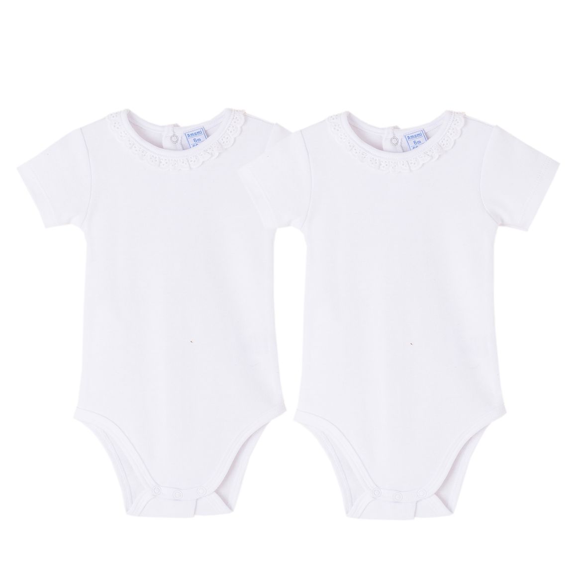 Picture of Bodies (0 a 9 Meses)