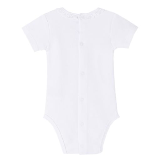 Picture of Bodies (0 a 9 Meses)