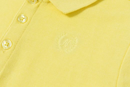 Picture of Polo