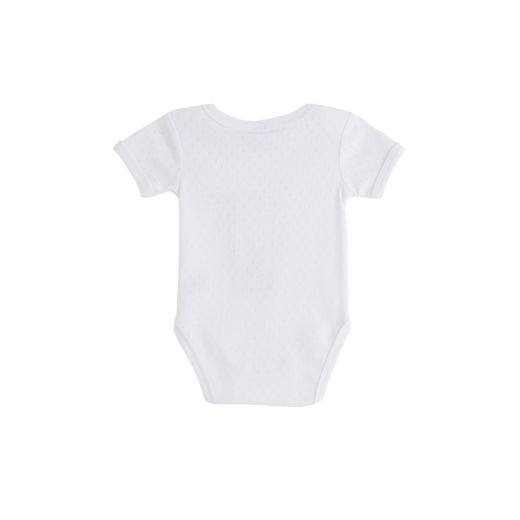 Picture of Bodies (3 a 24 Meses)