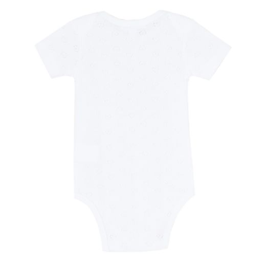 Picture of Bodies (3 a 24 Meses)