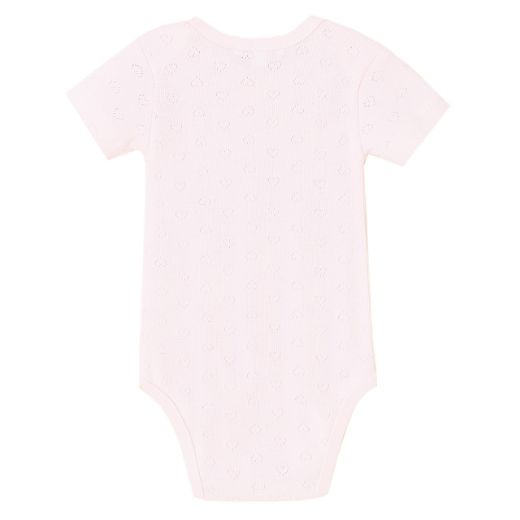 Picture of Bodies (3 a 24 Meses)