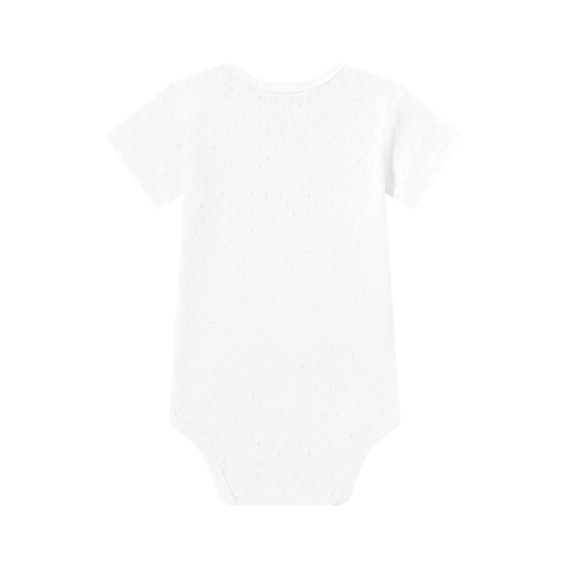 Picture of Bodies (6 a 24 Meses)