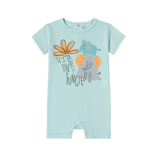 Picture of Pijamas (9-24m)