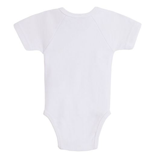 Picture of Bodies (0 a 3 Meses)